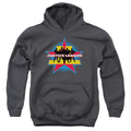 Justice League Stand Tall Youth Hoodie
