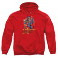 Justice League Raise Your Fist Pullover Hoodie