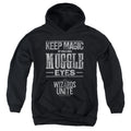 Harry Potter: Wizards Unite Hidden Magic Youth Hoodie