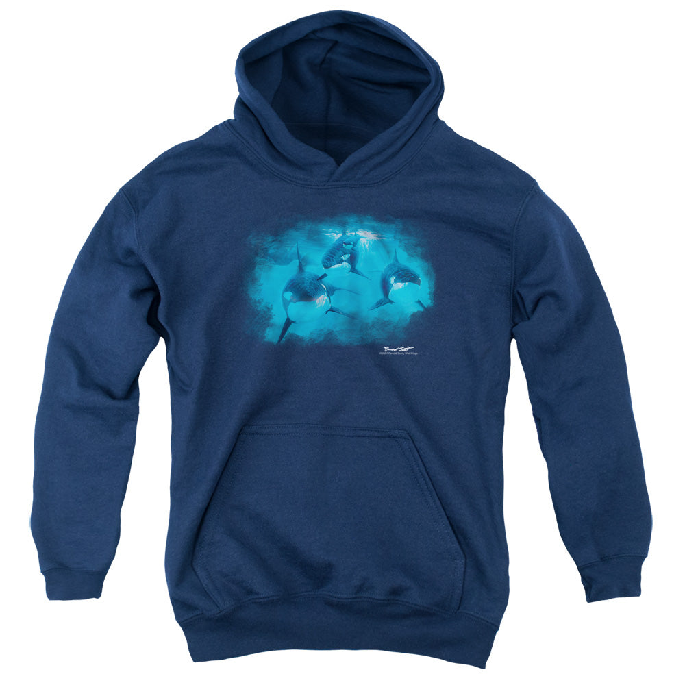 Wild Wings Pod of Orcas Youth Hoodie