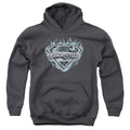 Superman Man of Steel Shield Charcoal Youth Hoodie