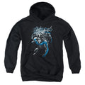 Batman Dynamic Duo Youth Hoodie