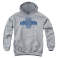 CSI Vegas Badge Youth Hoodie