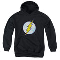 The Flash Flash Neon Distress Logo Youth Hoodie