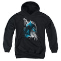 Batman Crazy Grin Youth Hoodie