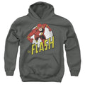 The Flash Run Flash Run Youth Hoodie