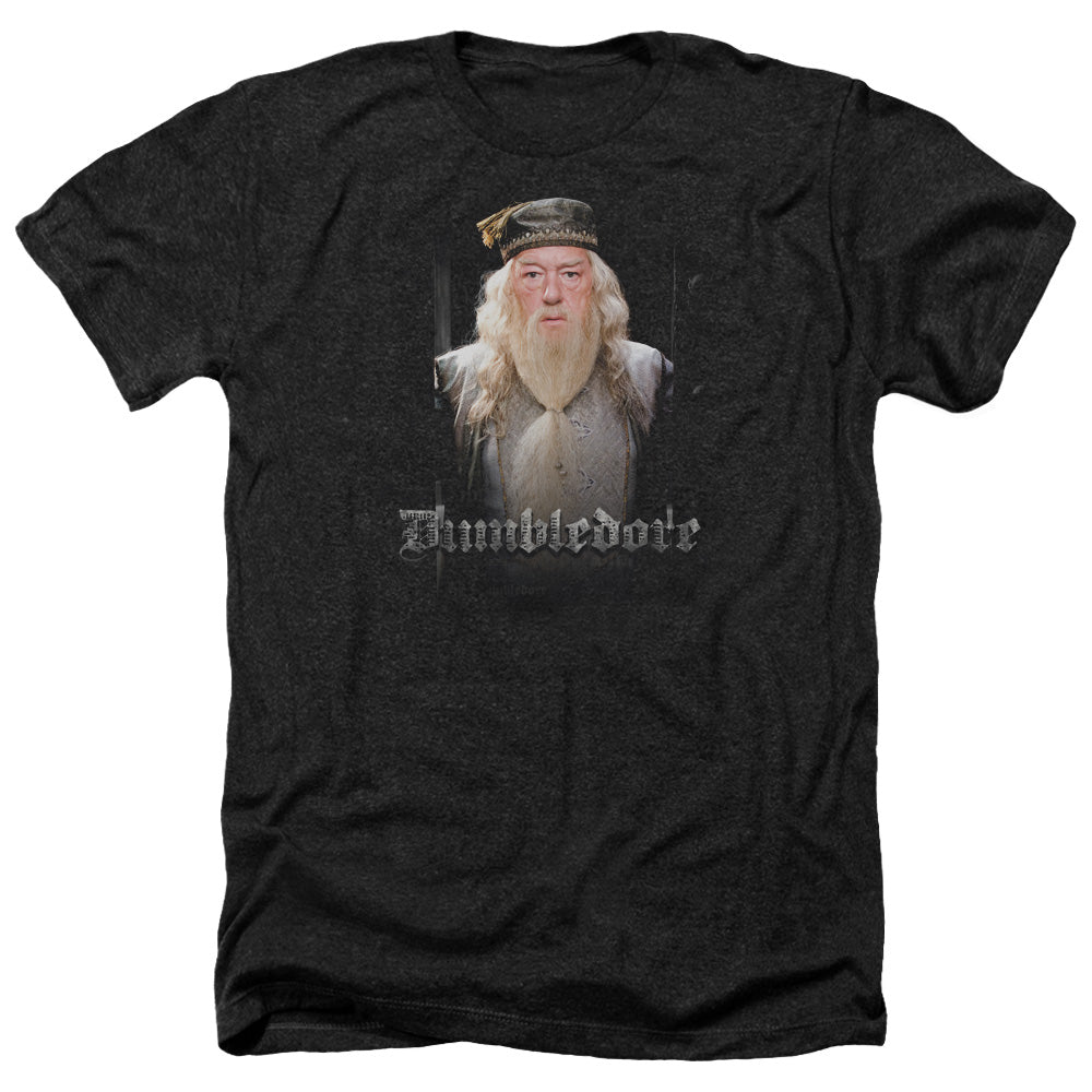 Harry Potter Dumble Doors T-Shirt