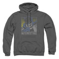 DC Comics Interesting Pullover Hoodie