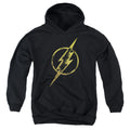 DC Comics Flash Eroded Bolt Youth Hoodie