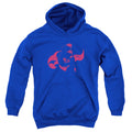 DC Comics Super Min Youth Hoodie