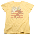 The Flash Scarlet Speedster Womens T-Shirt