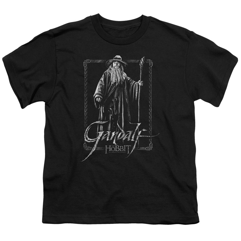 The Hobbit Gandalf Stare Youth/Toddler T-Shirt