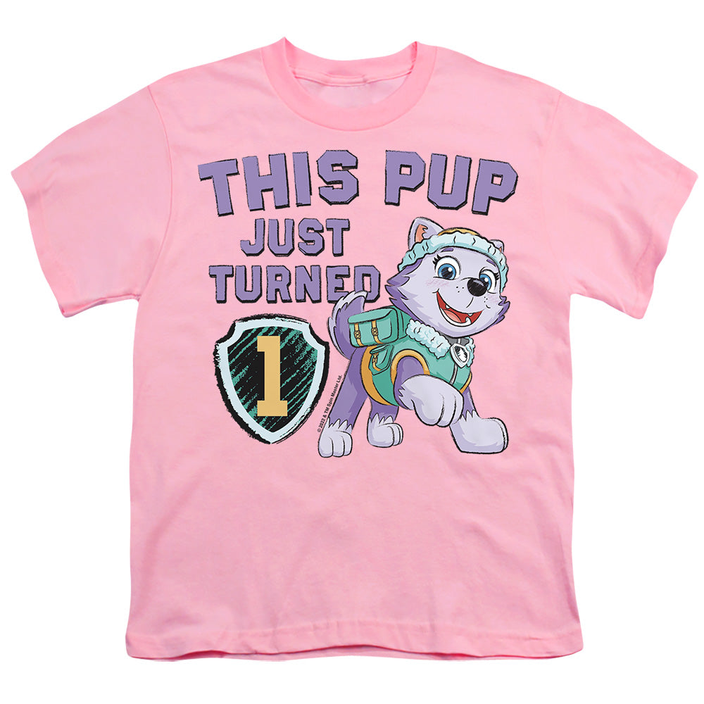 Paw Patrol This Pup Girl Birthday Youth/Toddler T-Shirt