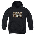 Star Trek Chrome Logo Youth Hoodie