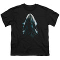 Harry Potter Dumbledore Burst Youth/Toddler T-Shirt
