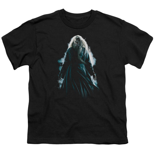 Harry Potter Dumbledore Burst Youth/Toddler T-Shirt