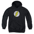 The Flash Flash Logo Distressed Youth Hoodie