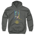 Batman 80 Years Many Faces Youth Hoodie