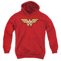 Justice League Golden Youth Hoodie