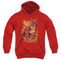 Justice League Flash Lightning Youth Hoodie