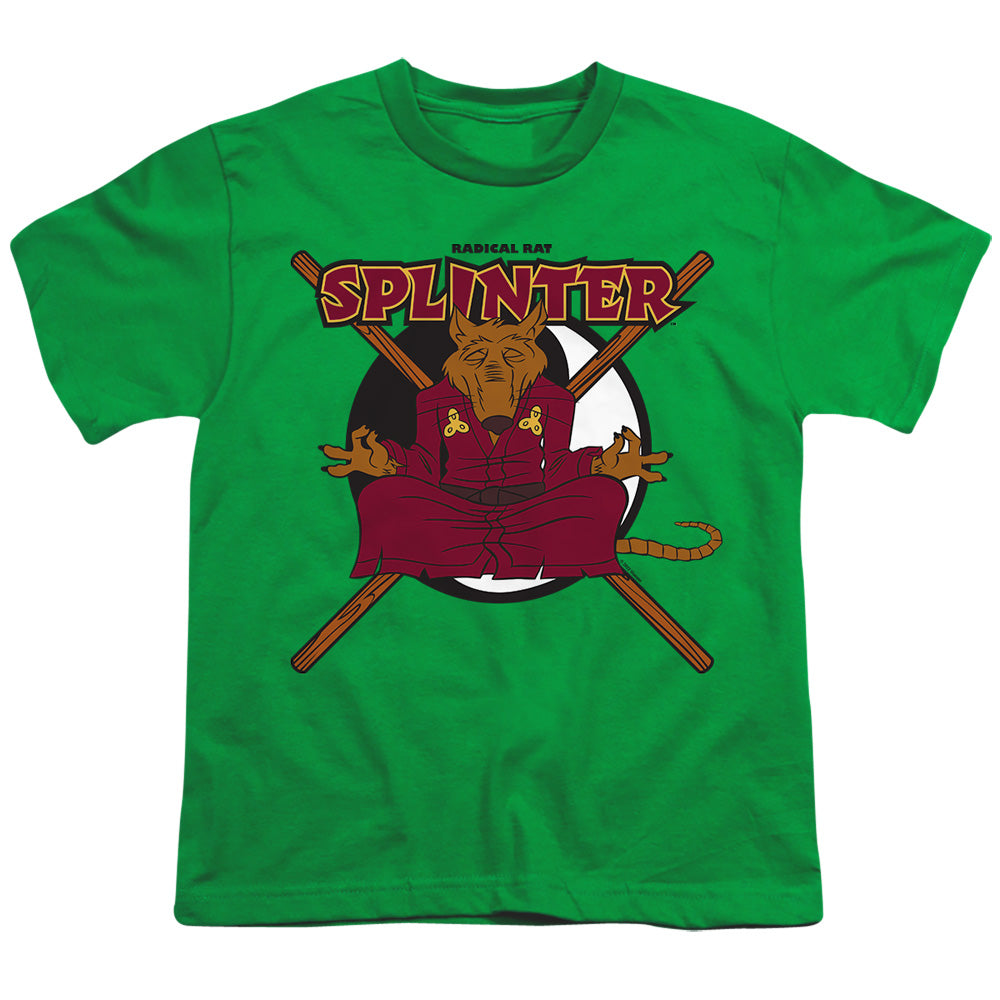 Teenage Mutant Ninja Turtles Radical Rat Splinter Youth/Toddler T-Shirt