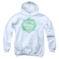 Superman Ornate Shield Youth Hoodie
