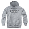 Taxi Property of Sunshine Cab Company Youth Hoodie