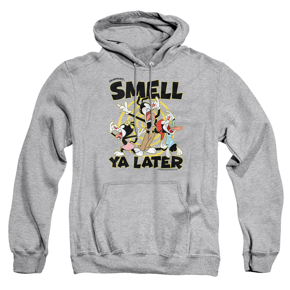 Animaniacs Smell Ya Later Pullover Hoodie
