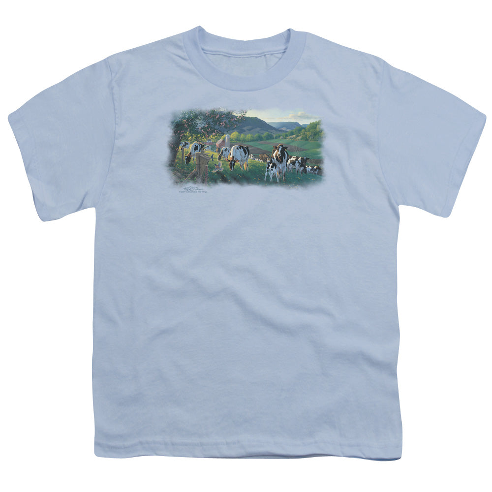 Wild Wings Dairy Cows in the Pasture Youth/Toddler T-Shirt