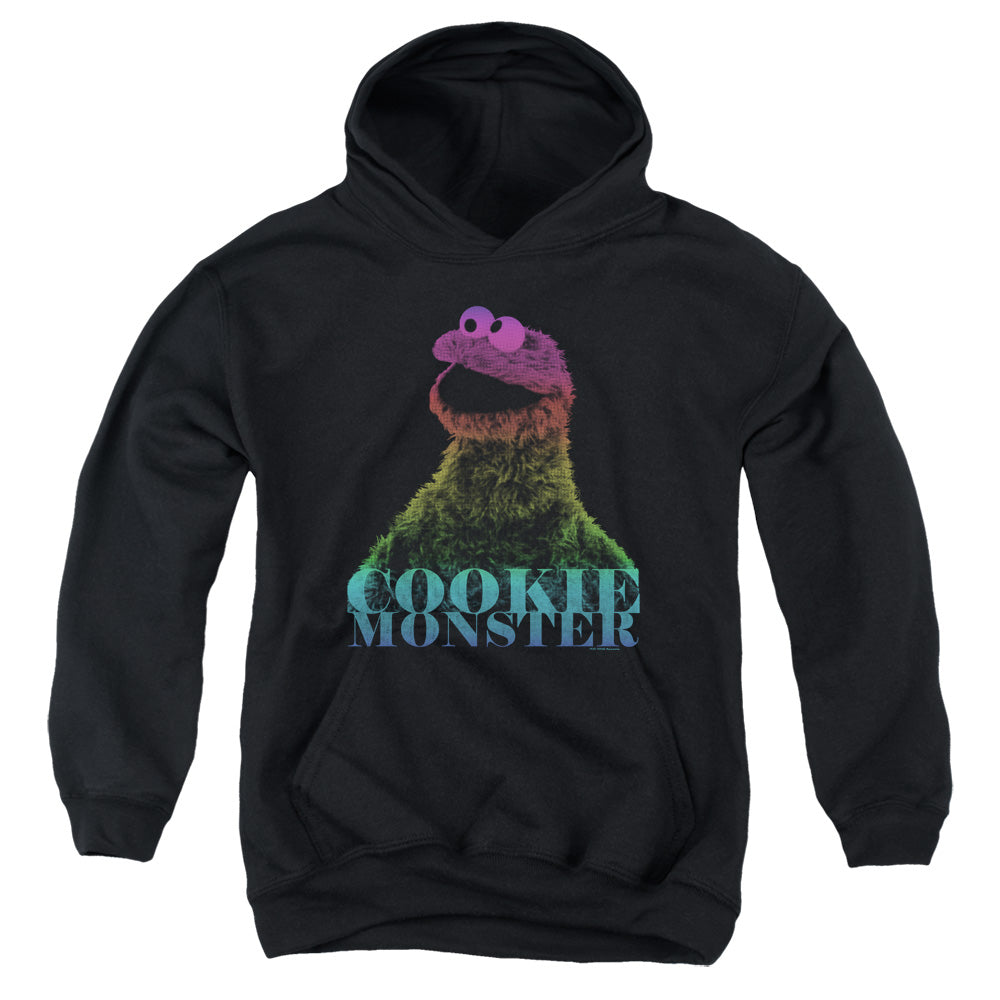 Sesame Street Cookie Monster Halftone Youth Hoodie