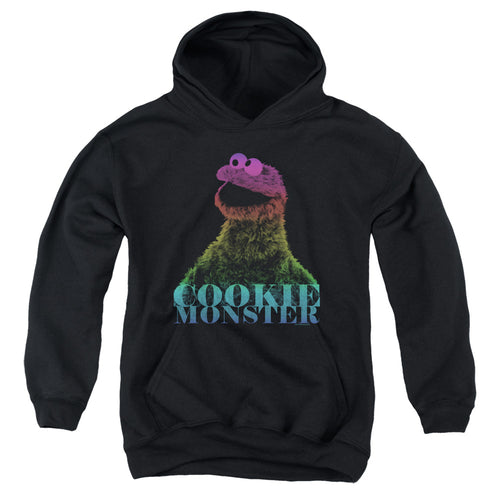 Sesame Street Cookie Monster Halftone Youth Hoodie