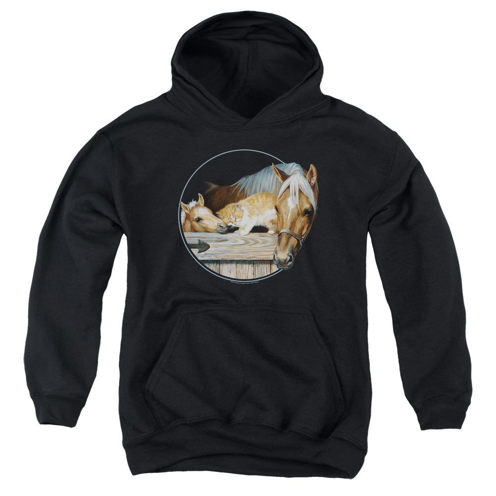 Wild Wings Everyone Loves Kitty Youth Hoodie