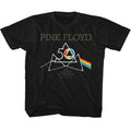 Pink Floyd 50th Triangles Youth/Toddler T-Shirt