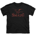 The Hobbit Dragon Youth/Toddler T-Shirt