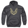 Pontiac Iconic Firebird Youth Hoodie