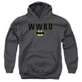 Batman Wwbd Logo Youth Hoodie