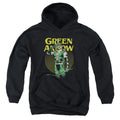 DC Comics Pull Youth Hoodie