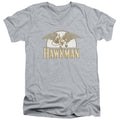 DC Comics Fly By V-Neck T-Shirt