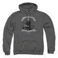 Fantastic Beasts Newt Scamander Pullover Hoodie