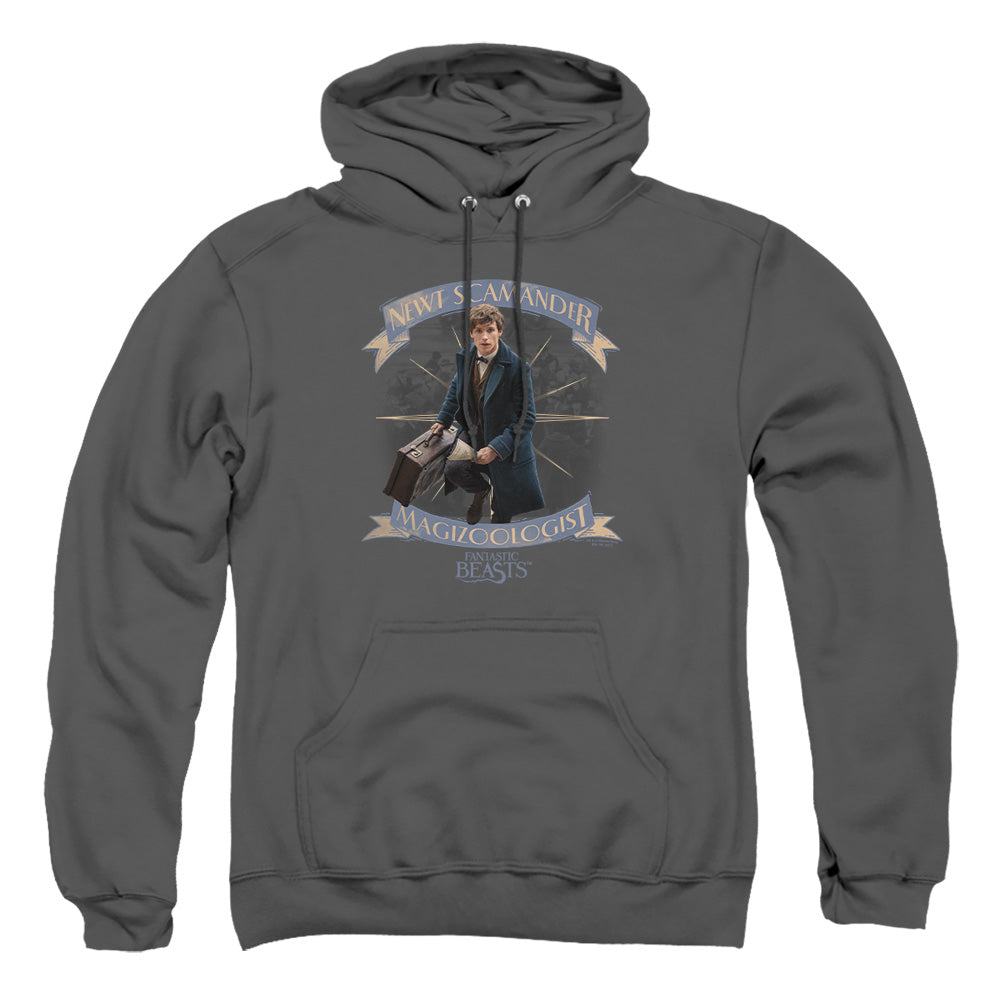 Fantastic Beasts Newt Scamander Pullover Hoodie