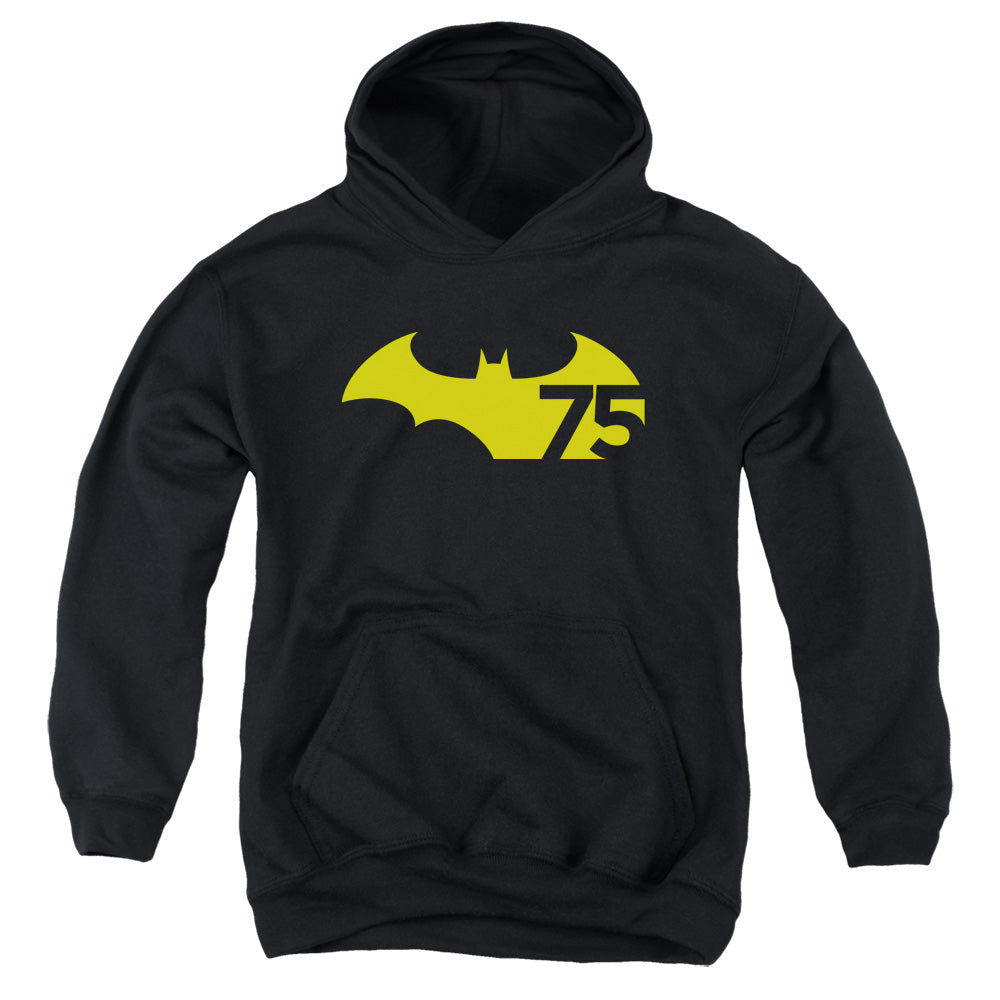 Batman 75 Logo 2 Youth Hoodie