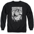 Superman Super Metal Crewneck Sweatshirt