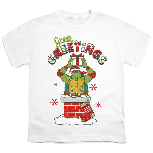 Teenage Mutant Ninja Turtles Green Greetings Christmas Scene Youth/Toddler T-Shirt