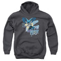Batman Into The Night Youth Hoodie