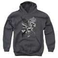 Superman Fight and Flight Youth Hoodie