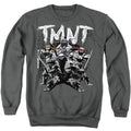 Teenage Mutant Ninja Turtles Team Crewneck Sweatshirt