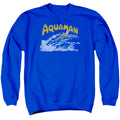 DC Comics Aqua Swim Crewneck Sweatshirt