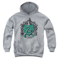 Harry Potter Slytherin Crest Youth Hoodie
