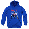 Batman v Superman Super Spray Youth Hoodie