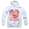 Sesame Street Friendship Youth Hoodie